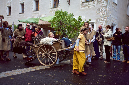 IMG_8562