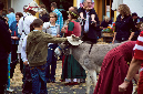 IMG_8844